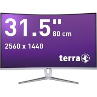 Curved-Monitore