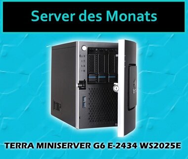 Server des Monats