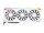 XFX Mercury RX 9070 XT OC White Gaming Edition 16 GB